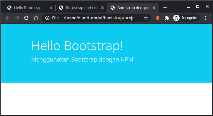 contoh bootstrap npm