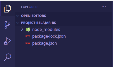folder project npm