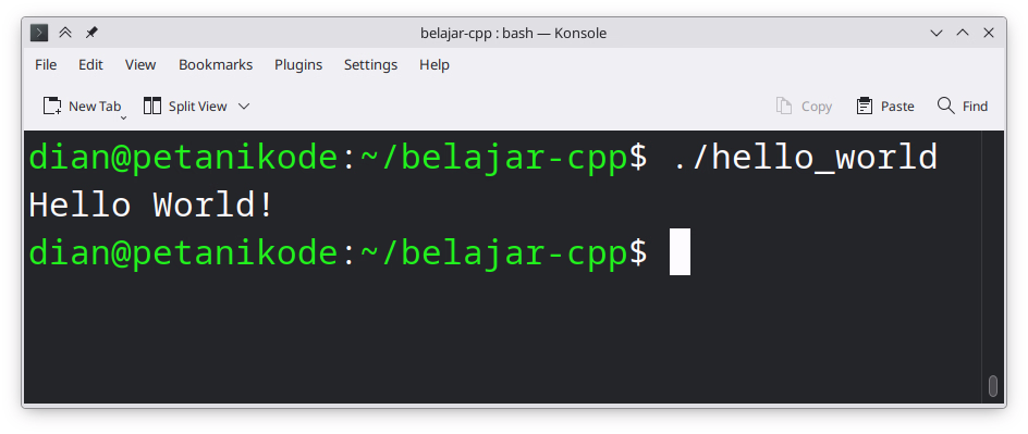 Hasi eksekusi program hello world