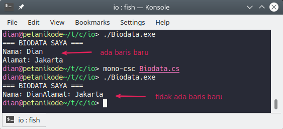 Program output menggunakan C#