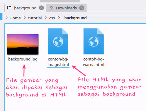 struktur folder file background