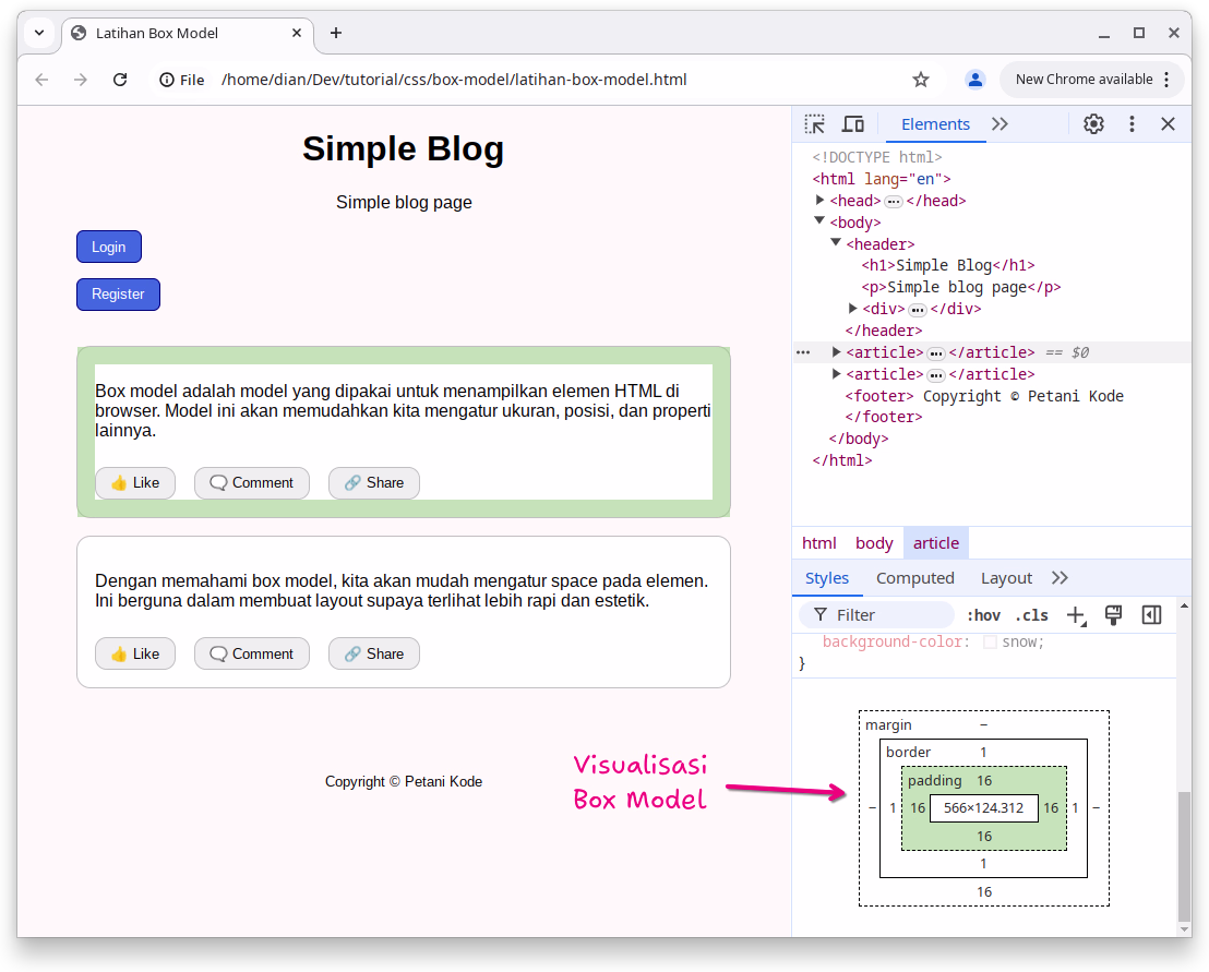 Visualisasi Box Model