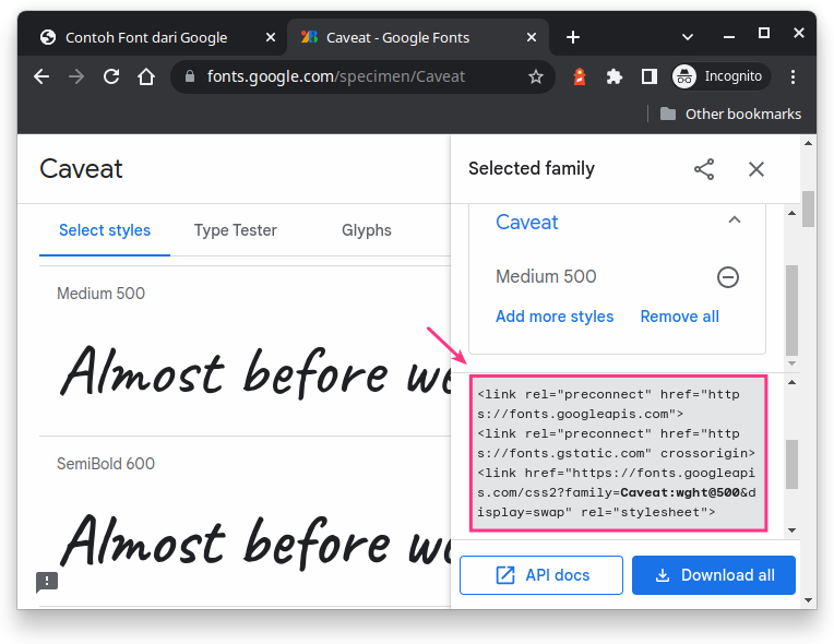 kode css untuk import font