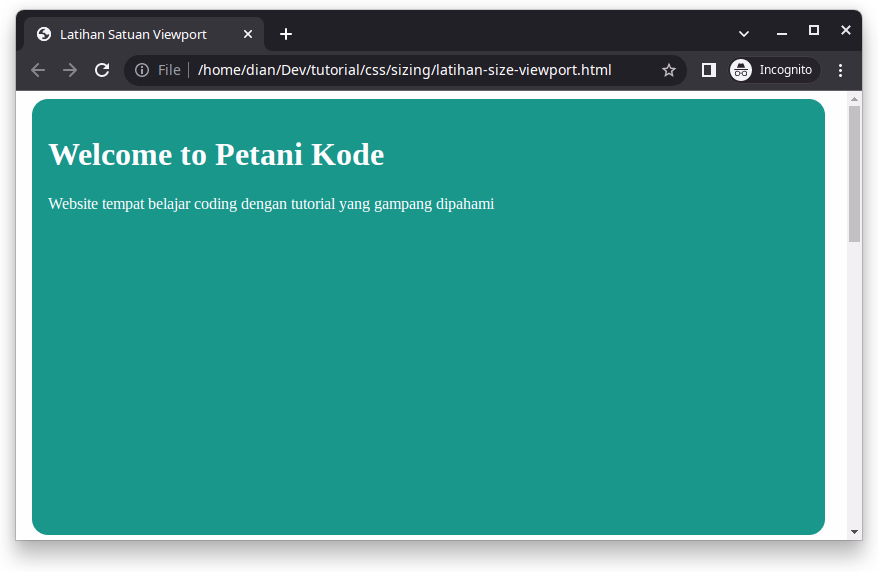 Hasil latihan viewport