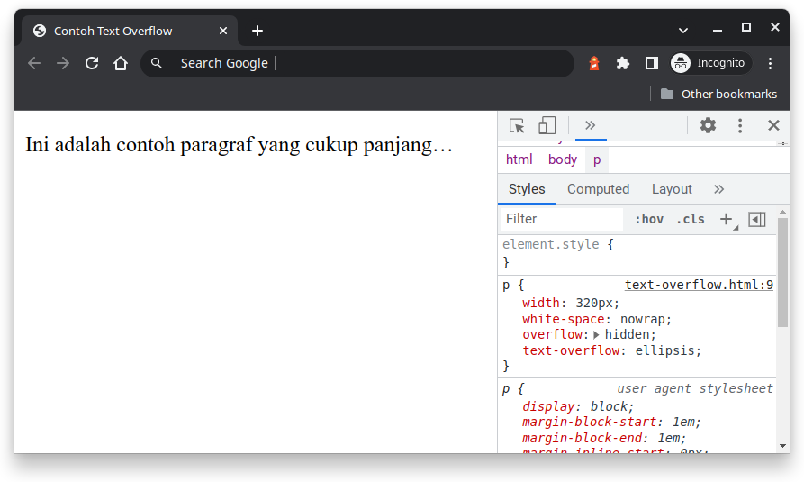 contoh text overflow