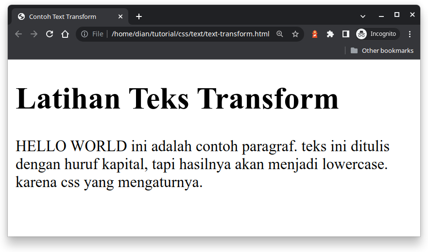 contoh text transform