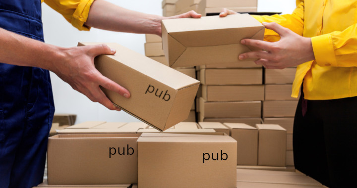 Tutorial Cara Menggunakan Pub untuk Manajemen Paket pada Dart