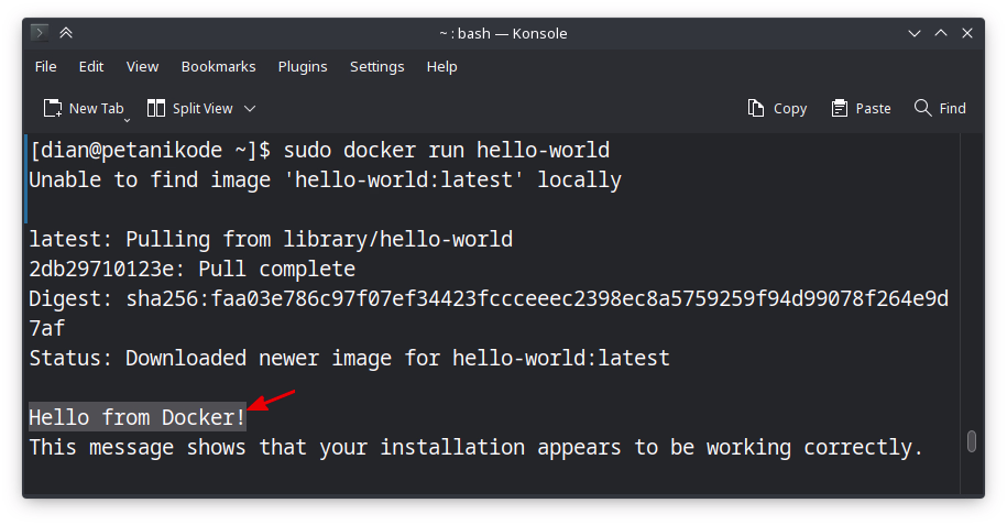 Docker hello world