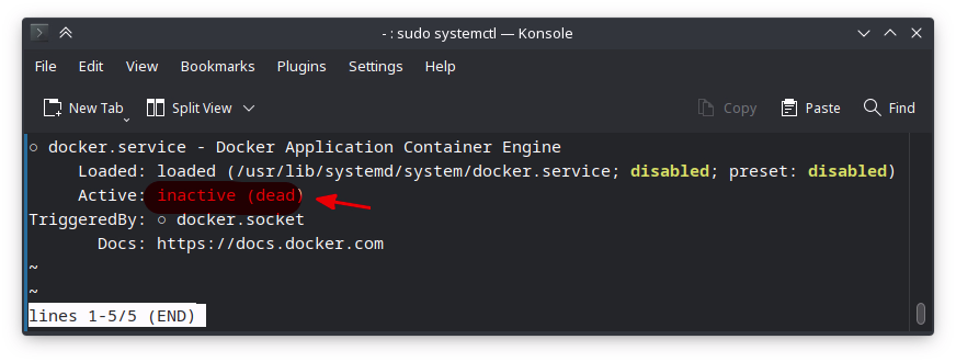 Status service docker