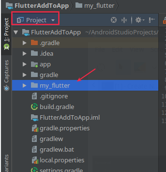 Folder My Flutter