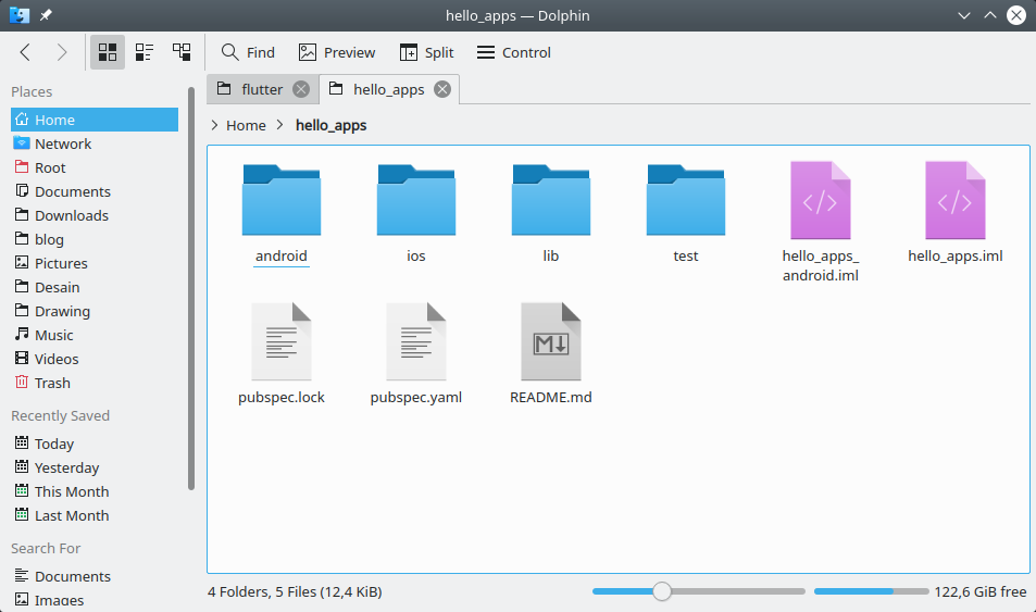 Folder Project Flutter