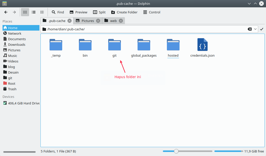 Folder git dalam pub cache Folder git dalam pub cache