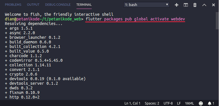 Menginstal paket dengan pub get