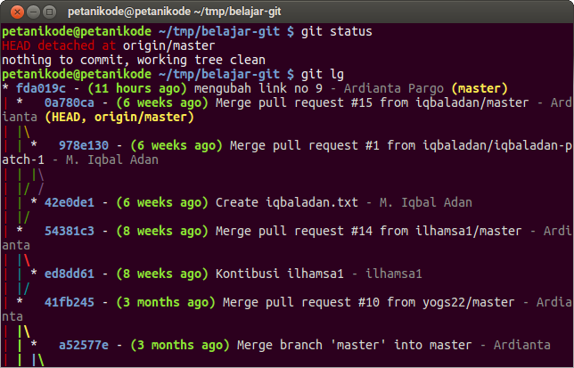Git log origin/master
