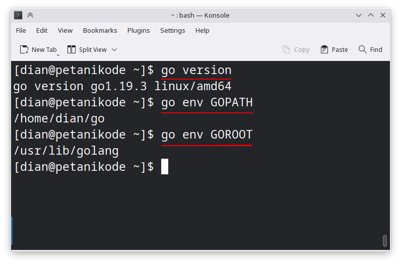 Hasil instalasi Golang di Ubuntu
