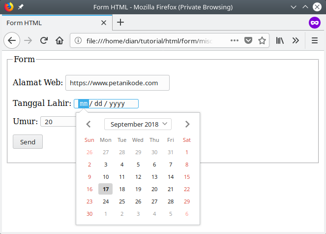 Form dengan tipe field yang lain