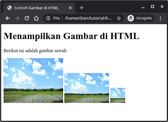 Contoh width dan height di HTML