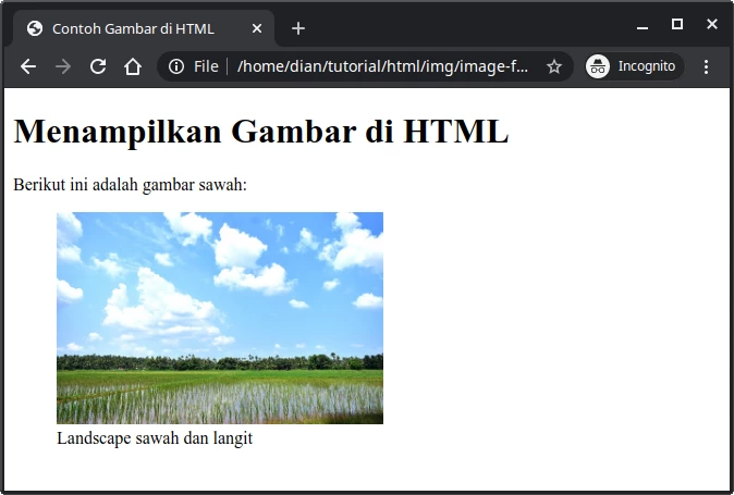 Contoh Figure di HTML