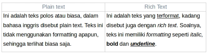 Plain text vs Rich Text