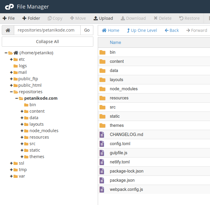 File manager di CPanel