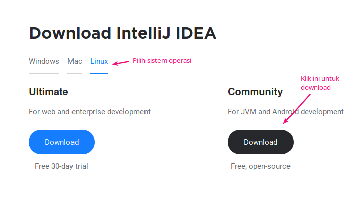 download-intellij