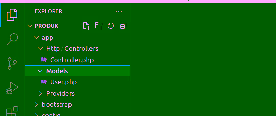 Folder Controller dan model