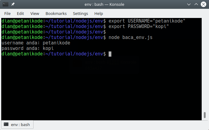 Eksekusi program nodejs untuk mengakses env variabel