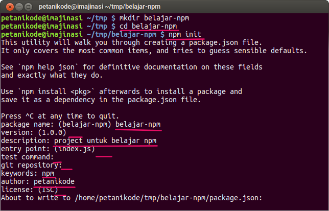Membuat Project Nodejs baru dengan NPM