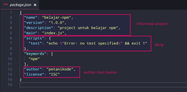 File package.json dengan NPM