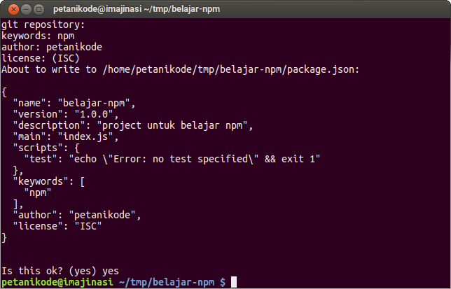 Pembuatan file package.json dengan NPM