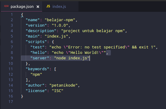 Script Server Nodejs