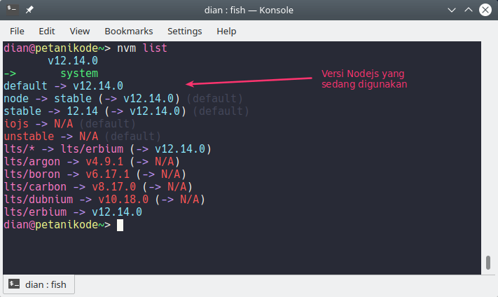 Versi Nodejs yang sedang digunakan