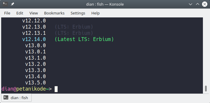 Melihat daftar versi Nodejs di server