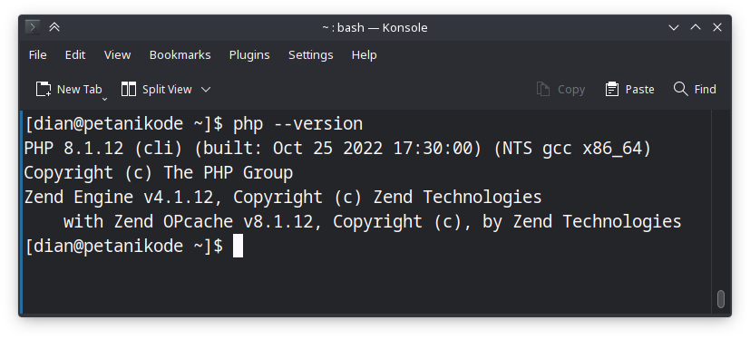 Cek Versi PHP yang terinstall