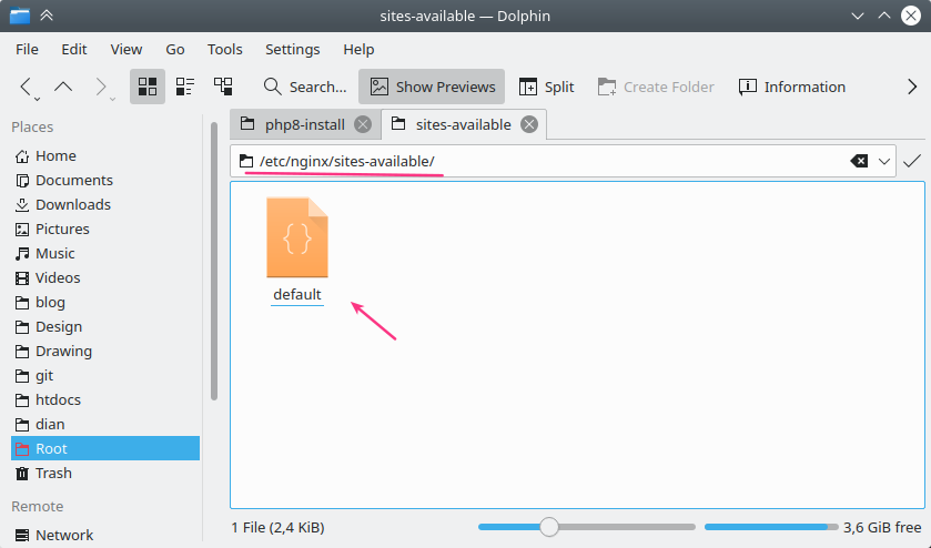 file site default nginx