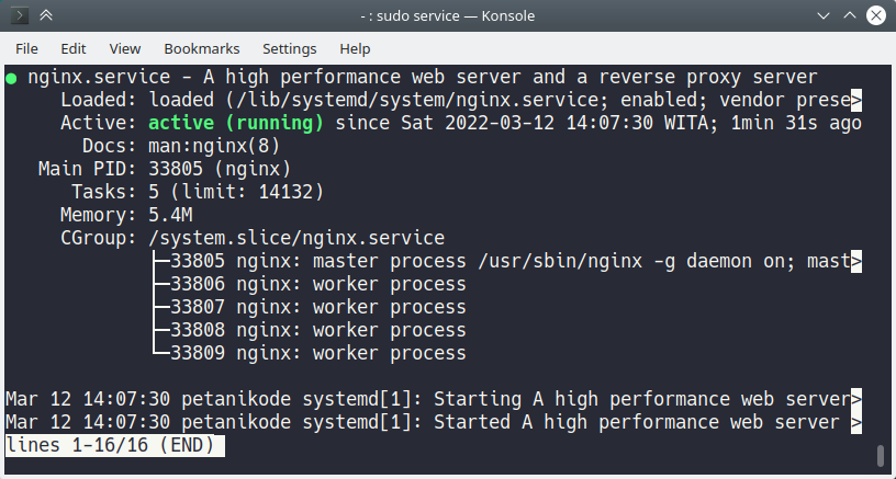 nginx service status