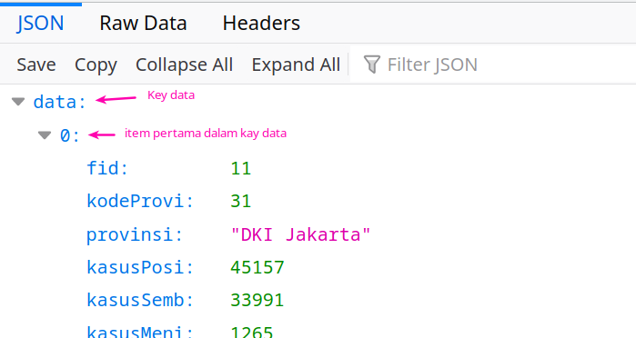 json data key