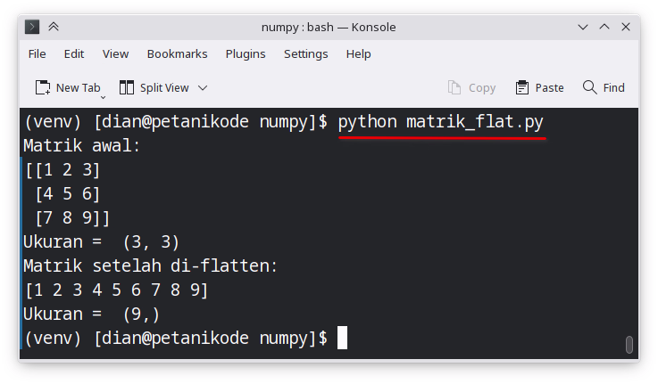 Contoh matrik-flatten