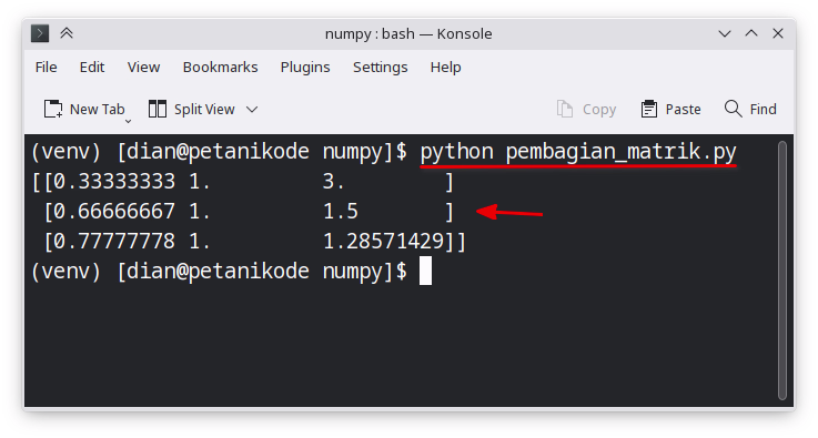 Operasi pembagian matriks di Python