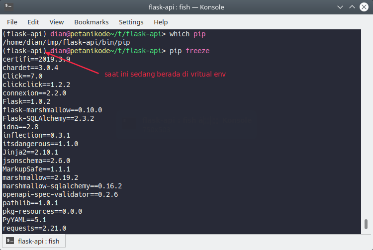 Freeze paket di python