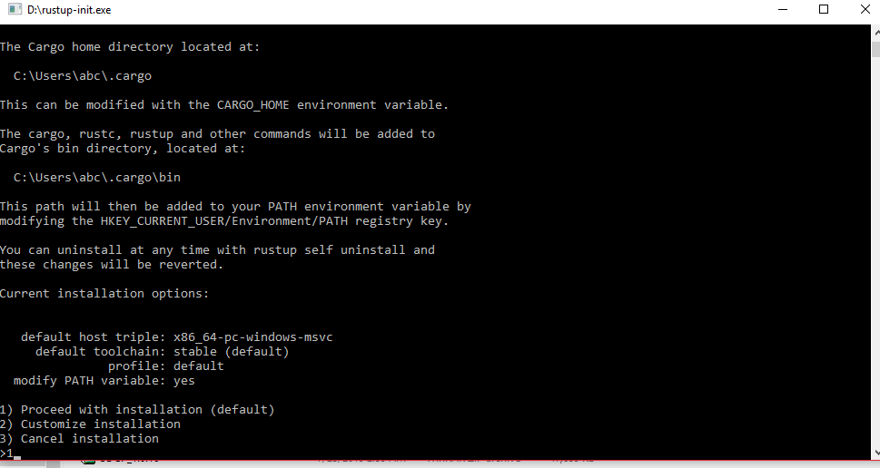 rust install option windows