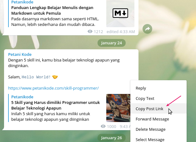 Copy link pesan di chanel telegram